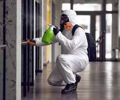 Best Mold Prevention Services  in Raytown, MO